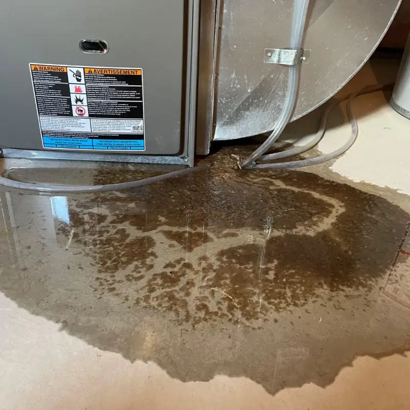 Appliance Leak Cleanup in Reno County, KS