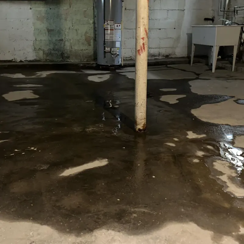 Emergency Water Extraction And Removal in Reno County, KS